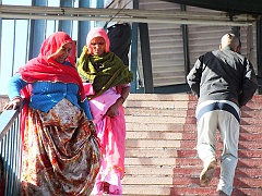 toJaipur (13)